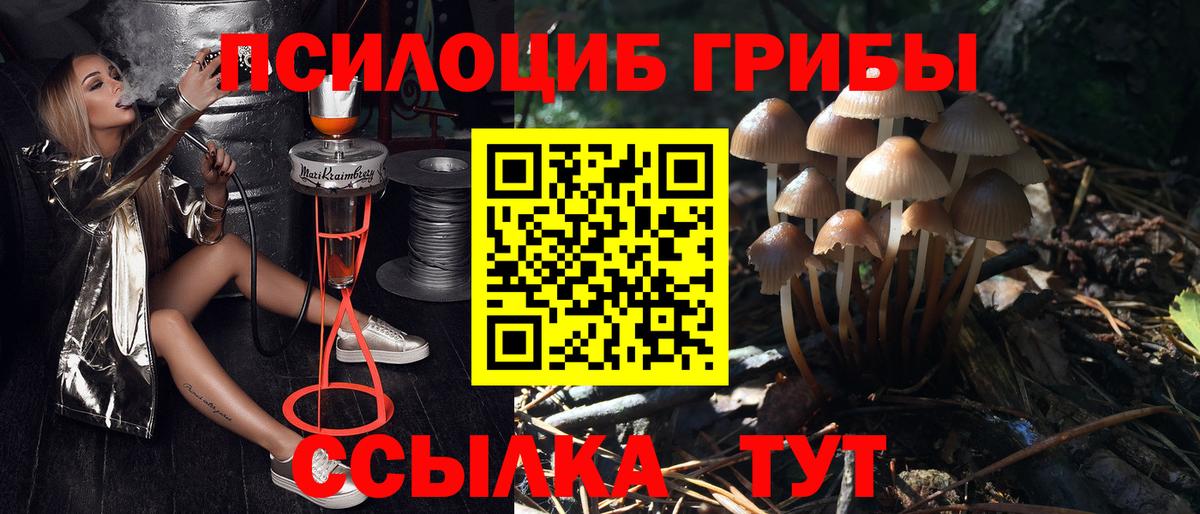 Галлюциногенные грибы Psilocybine cubensis  Вход с VPN  Рубцовск 